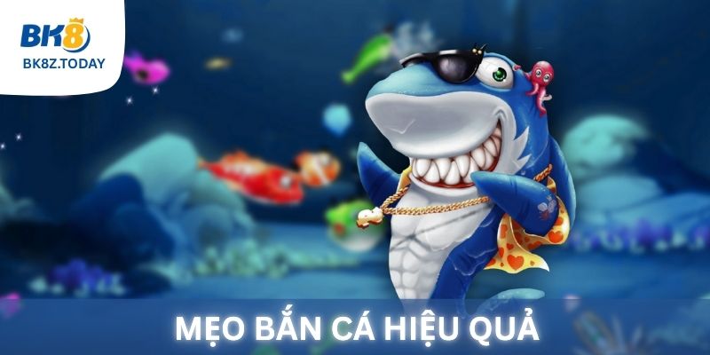 Mẹo Bắn Cá hiệu quả khi chơi tại BK8