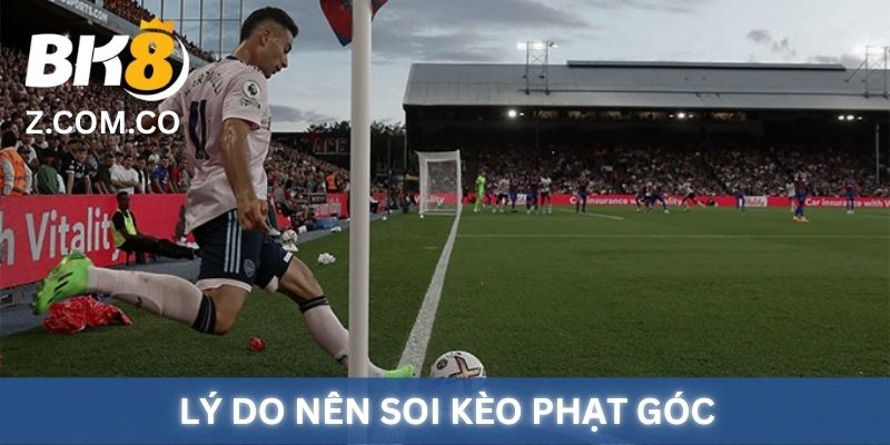 Lý do nên soi kèo phạt góc